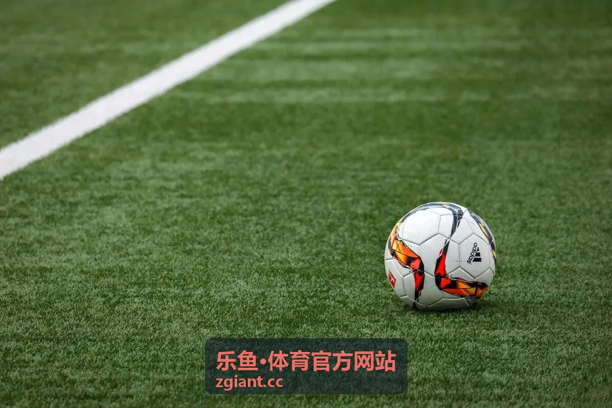 乐鱼体育官方网站运动好物场景选择参考图