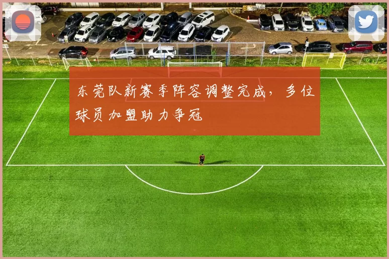 东莞队新赛季阵容调整完成,多位球员加盟助力争冠