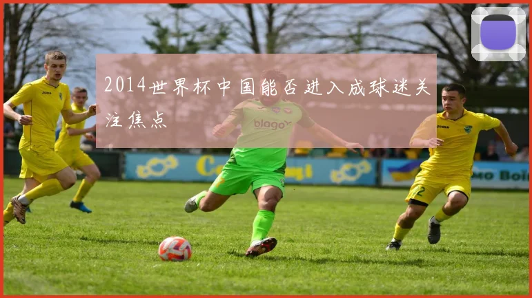 2014世界杯中国能否进入成球迷关注焦点