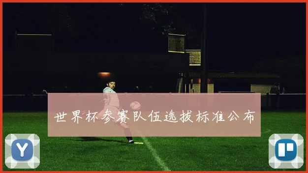 世界杯参赛队伍选拔标准公布